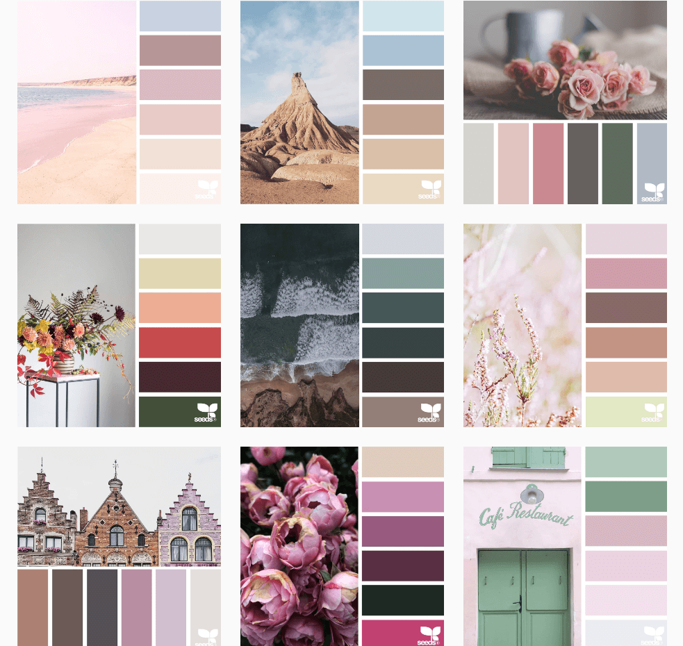 Wall best sale paint palette